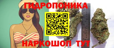 mix Гусиноозёрск