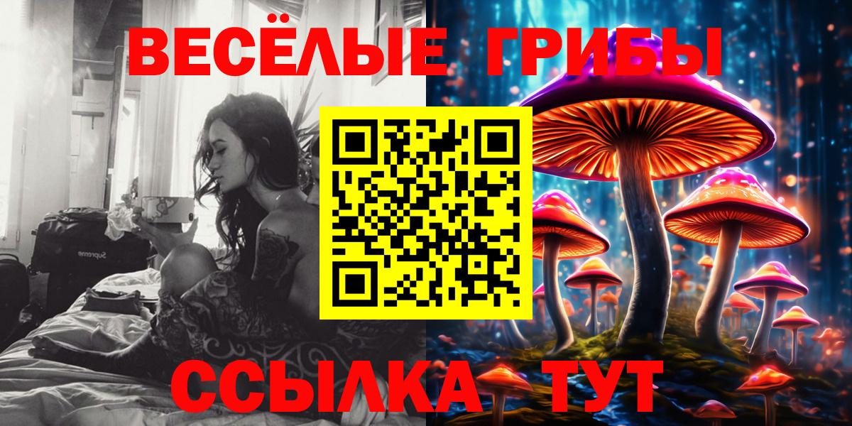 Миасс  Галлюциногенные грибы ЛСД  Вход с VPN 
